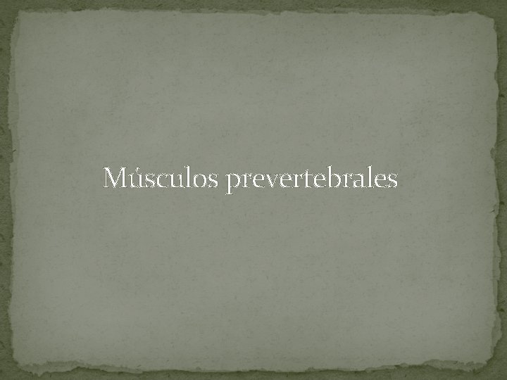 Músculos prevertebrales 