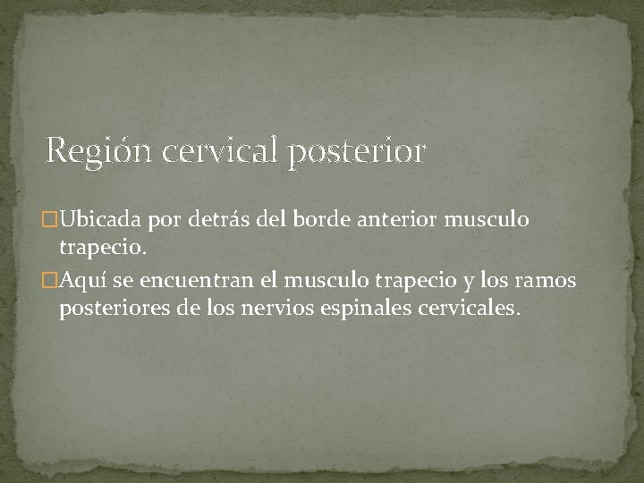 Región cervical posterior �Ubicada por detrás del borde anterior musculo trapecio. �Aquí se encuentran