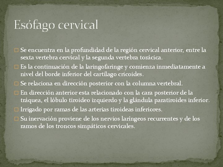 Esófago cervical � Se encuentra en la profundidad de la región cervical anterior, entre