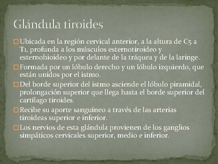 Glándula tiroides � Ubicada en la región cervical anterior, a la altura de C