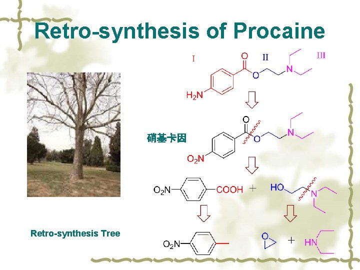 Retro-synthesis of Procaine 硝基卡因 Retro-synthesis Tree 