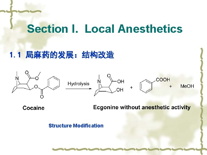 Section I. Local Anesthetics 1. 1 局麻药的发展：结构改造 Structure Modification 