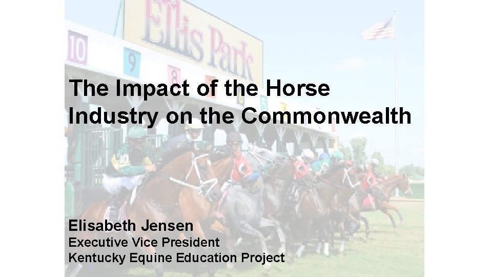 The Impact of the Horse Industry on the