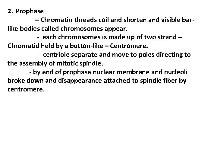 2. Prophase – Chromatin threads coil and shorten and visible barlike bodies called chromosomes