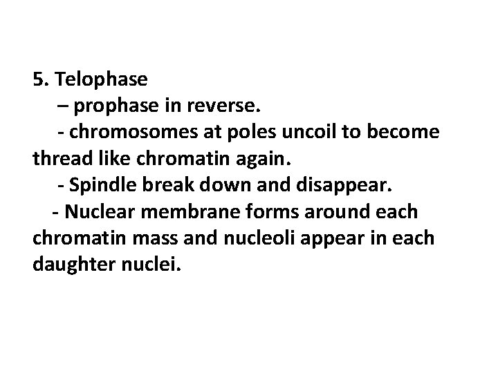 5. Telophase – prophase in reverse. - chromosomes at poles uncoil to become thread