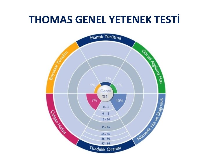 THOMAS GENEL YETENEK TESTİ 