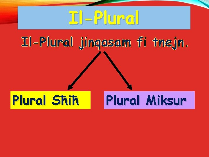Il-Plural jinqasam fi tnejn. Plural Sħiħ Plural Miksur 