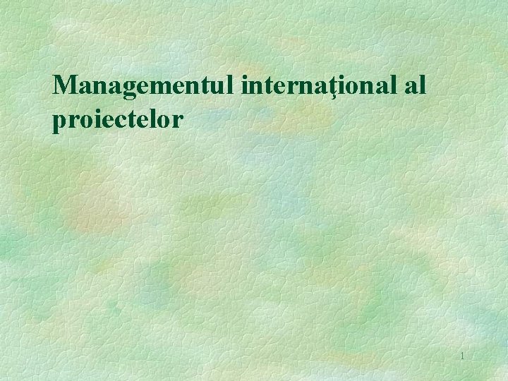 Managementul internaţional al proiectelor 1 