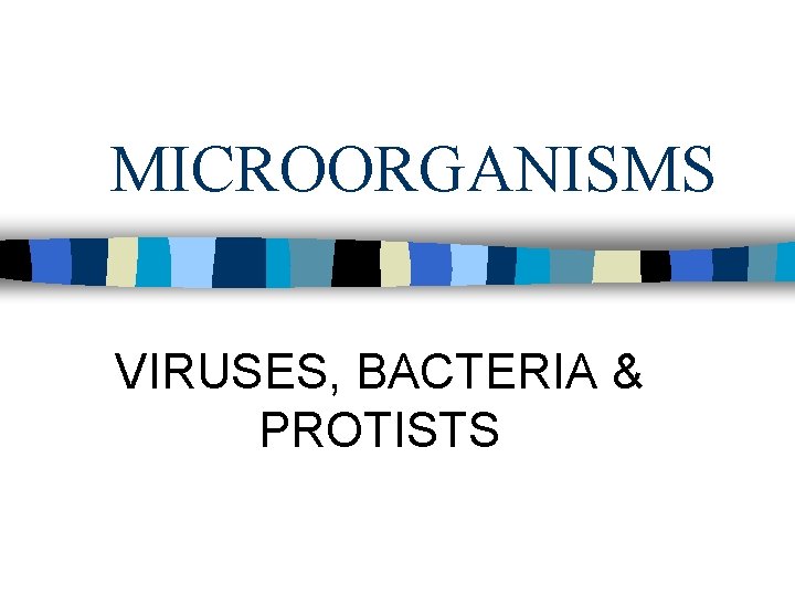 MICROORGANISMS VIRUSES, BACTERIA & PROTISTS 