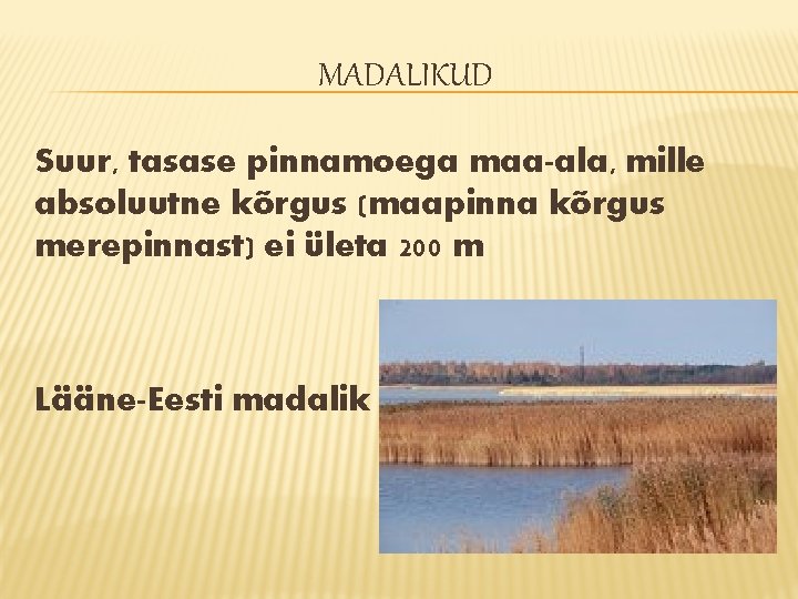 MADALIKUD Suur, tasase pinnamoega maa-ala, mille absoluutne kõrgus (maapinna kõrgus merepinnast) ei ületa 200 MADALIKUD Suur, tasase pinnamoega maa-ala, mille absoluutne kõrgus (maapinna kõrgus merepinnast) ei ületa 200