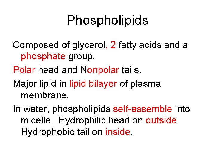 Phospholipids Composed of glycerol, 2 fatty acids and a phosphate group. Polar head and