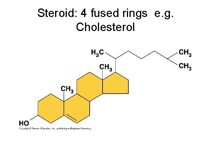 Steroid: 4 fused rings e. g. Cholesterol 