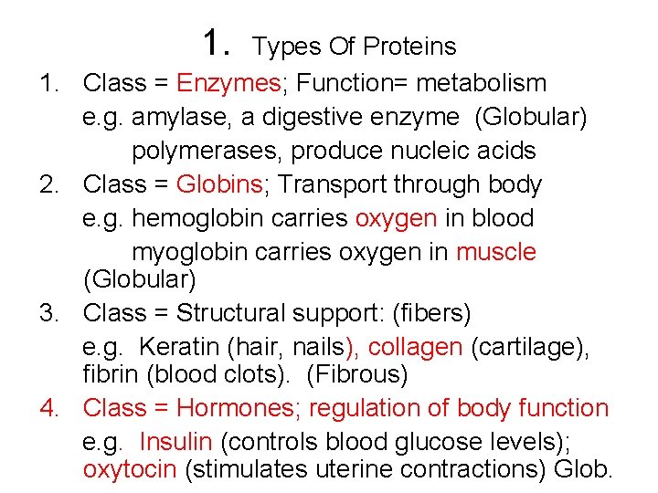 1. 2. 3. 4. Types Of Proteins Class = Enzymes; Function= metabolism e. g.