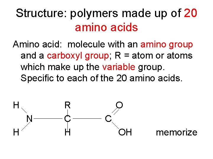 Structure: polymers made up of 20 amino acids Amino acid: molecule with an amino