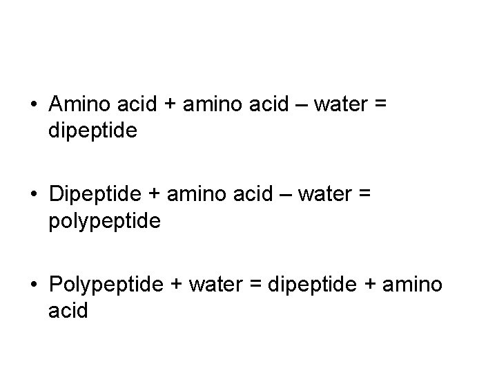  • Amino acid + amino acid – water = dipeptide • Dipeptide +