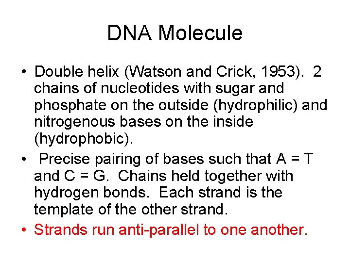 DNA Molecule • Double helix (Watson and Crick, 1953). 2 chains of nucleotides with