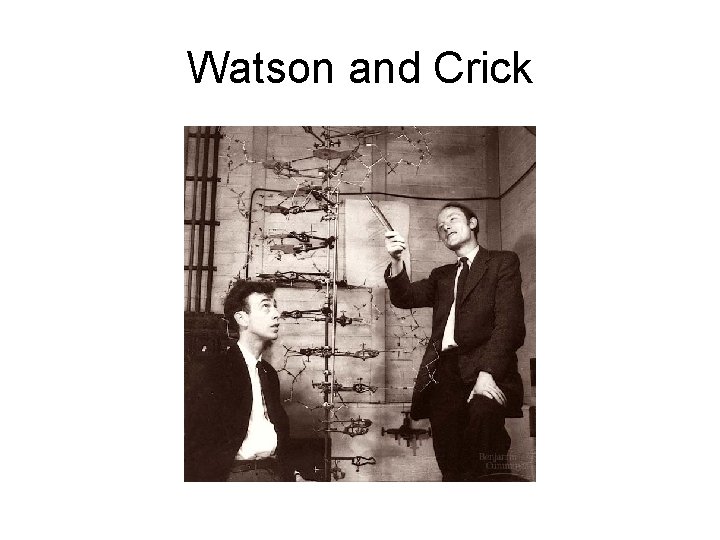 Watson and Crick 