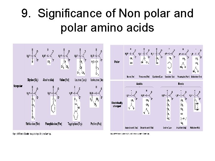 9. Significance of Non polar and polar amino acids 