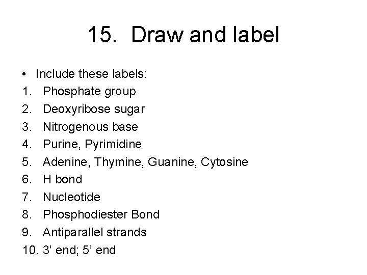 15. Draw and label • Include these labels: 1. Phosphate group 2. Deoxyribose sugar