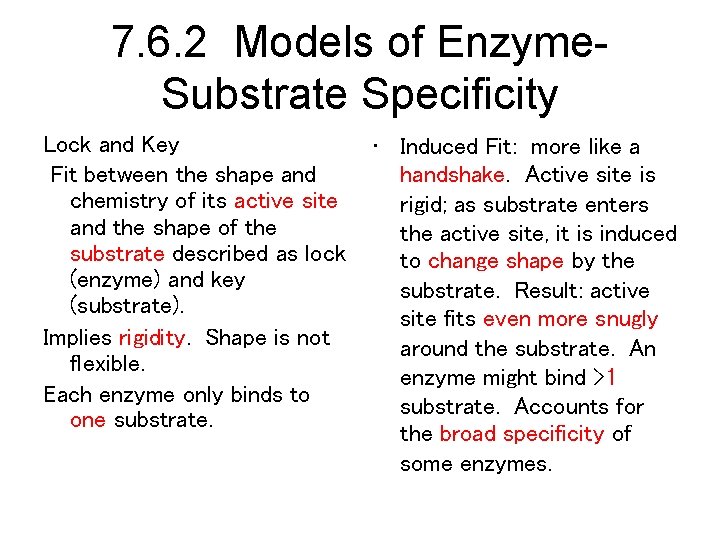 7. 6. 2 Models of Enzyme. Substrate Specificity Lock and Key Fit between the