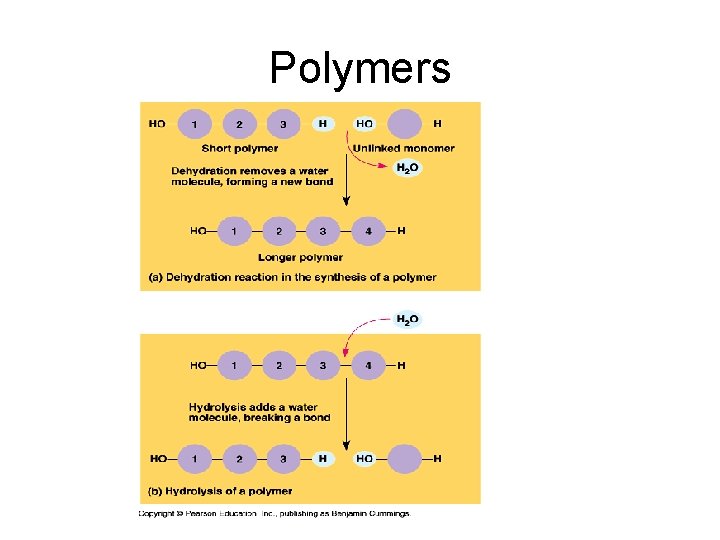 Polymers 