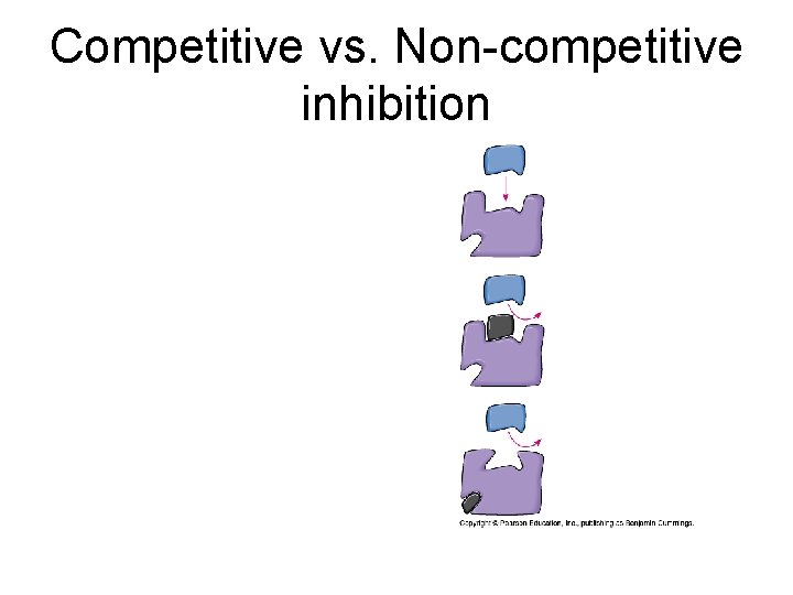 Competitive vs. Non-competitive inhibition 