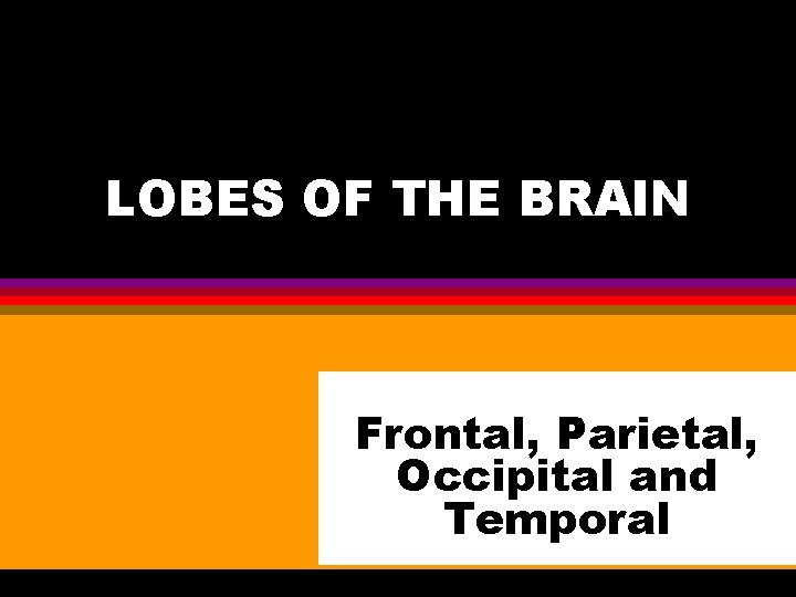 LOBES OF THE BRAIN Frontal, Parietal, Occipital and Temporal 