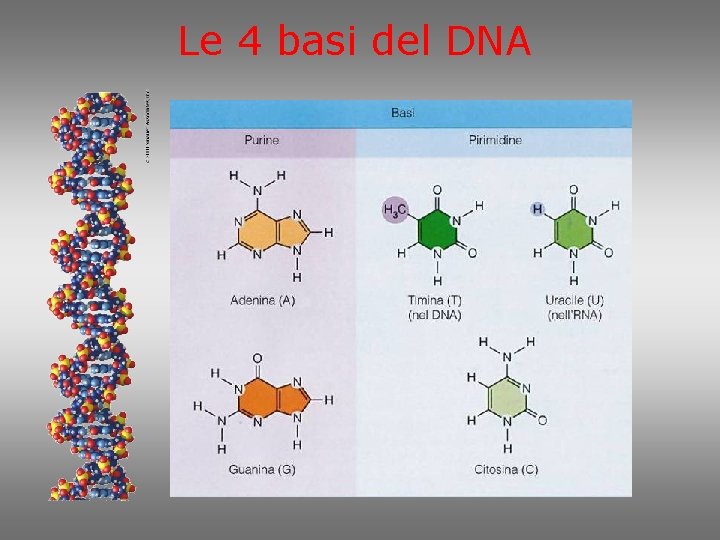 SILSISMI VIII ciclo secondo anno CHIMICA III GIANMARIO