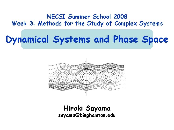 NECSI Summer School 2008 Week 3: Methods for the Study of Complex Systems Dynamical