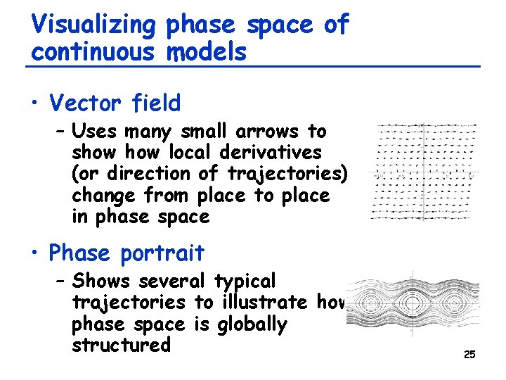 Visualizing phase space of continuous models • Vector field – Uses many small arrows