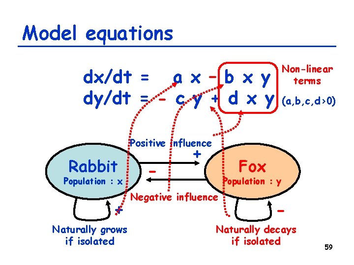 Model equations Non-linear terms dx/dt = a x – b x y dy/dt =