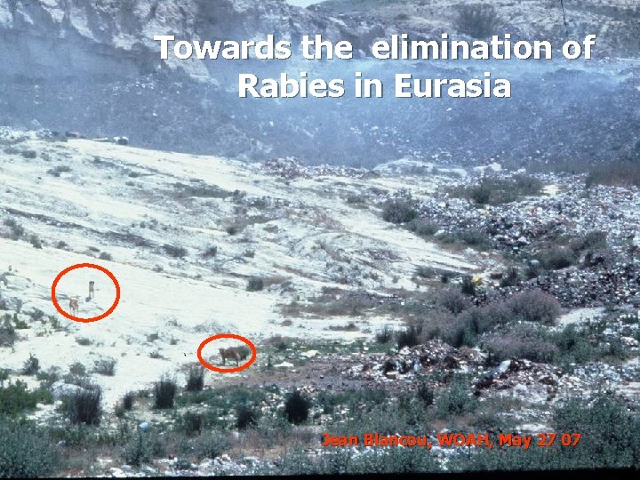 Towards the elimination of Rabies in Eurasia Jean Blancou, WOAH, May 27 07 1