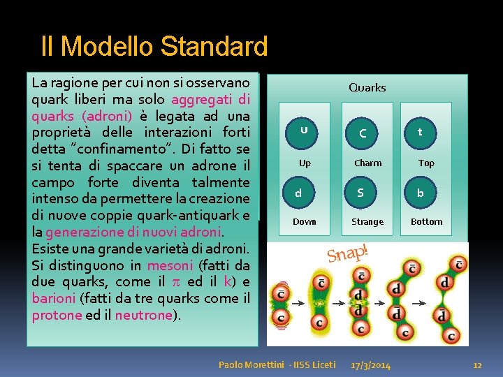 Il Modello Standard La cui non si osservano I ragione quarks per sono particelle