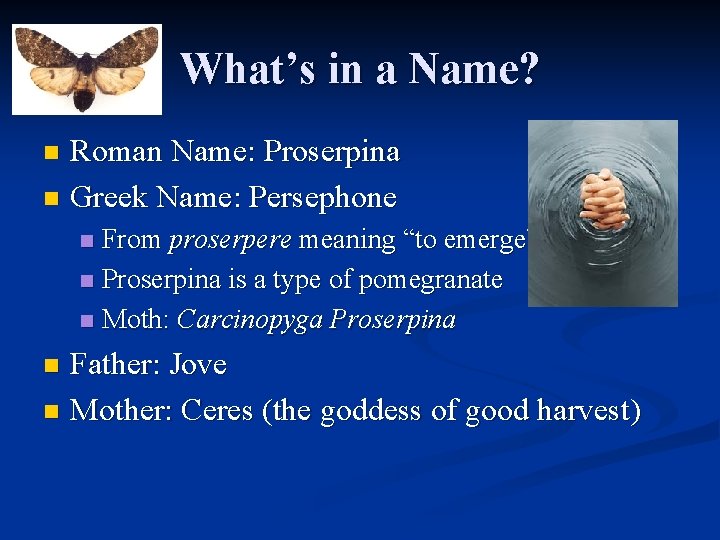 What’s in a Name? Roman Name: Proserpina n Greek Name: Persephone n From proserpere