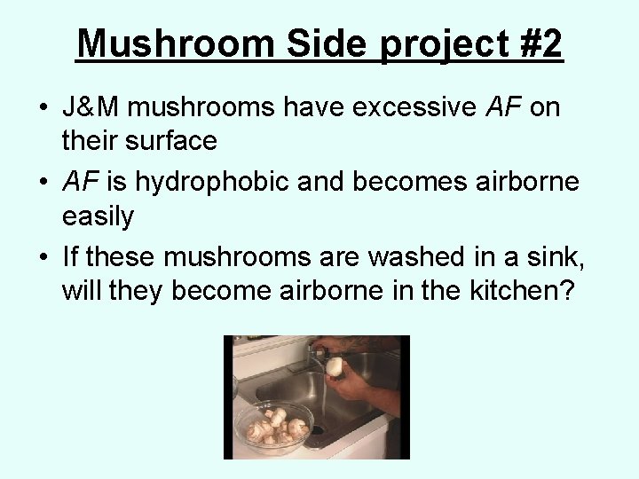 Mushroom Side project #2 • J&M mushrooms have excessive AF on their surface •