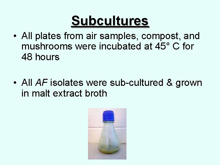 Subcultures • All plates from air samples, compost, and mushrooms were incubated at 45°
