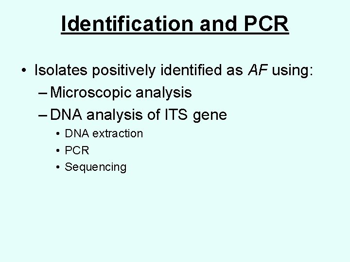 Identification and PCR • Isolates positively identified as AF using: – Microscopic analysis –