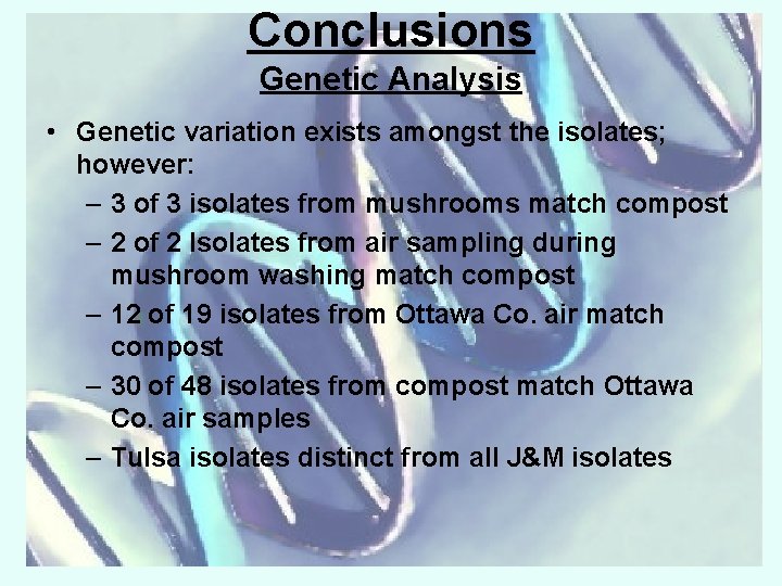 Conclusions Genetic Analysis • Genetic variation exists amongst the isolates; however: – 3 of