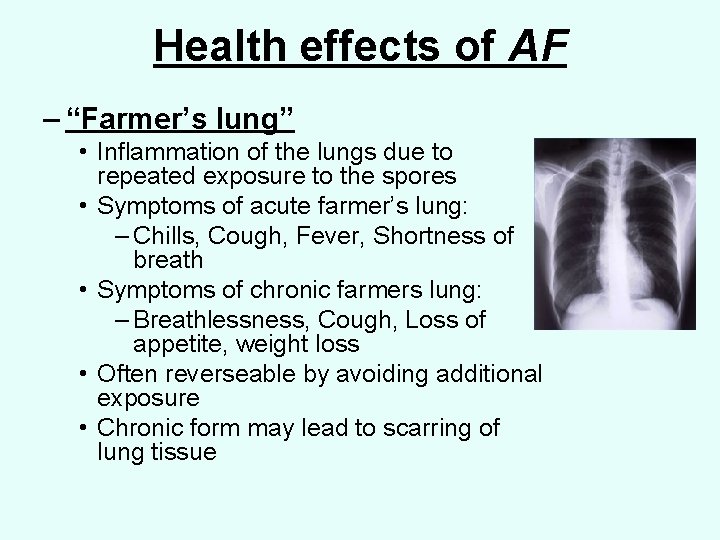 Health effects of AF – “Farmer’s lung” • Inflammation of the lungs due to