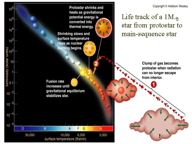 Life track of a 1 M star from protostar to main-sequence star 