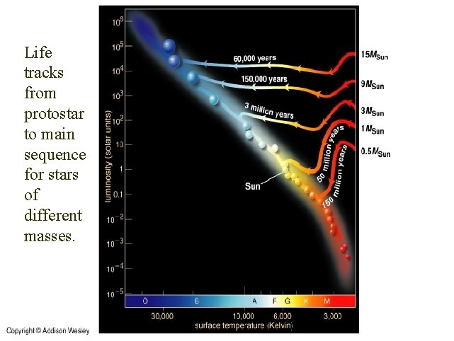Life tracks from protostar to main sequence for stars of different masses. 