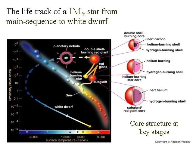 The life track of a 1 M star from main-sequence to white dwarf. Core