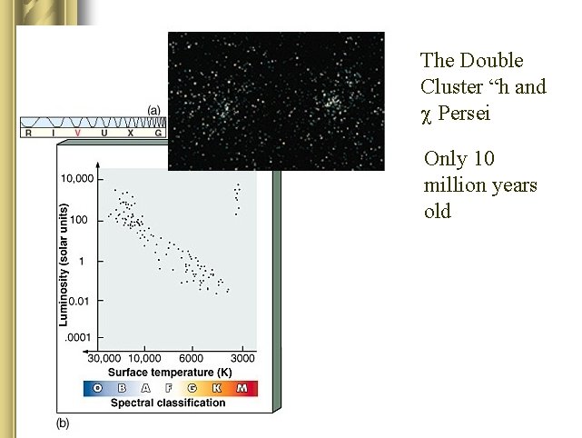 The Double Cluster “h and Persei Only 10 million years old 