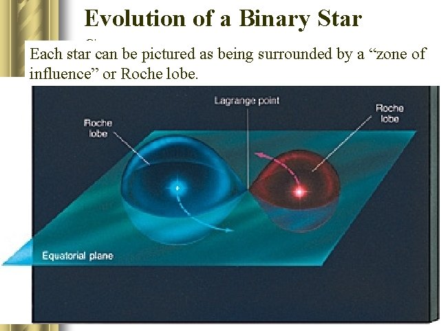 Evolution of a Binary Star Each star. System can be pictured as being surrounded