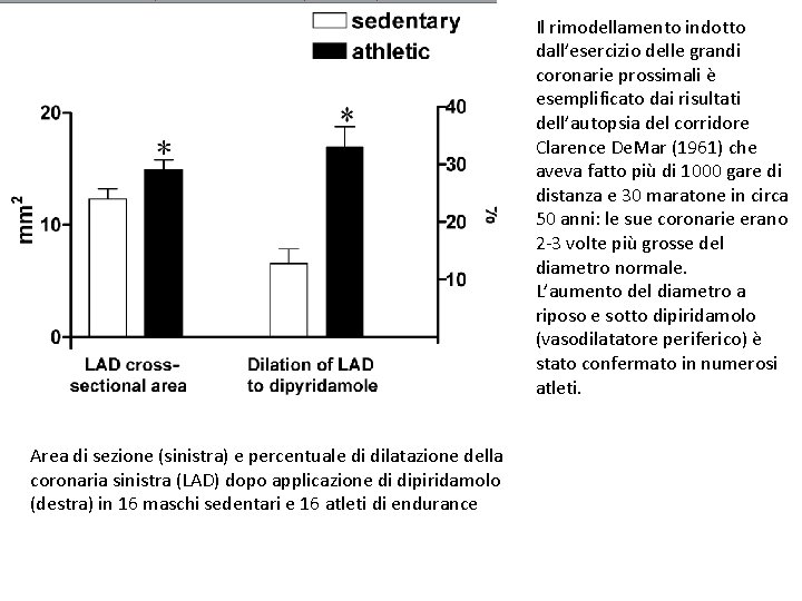 Il rimodellamento indotto dall’esercizio delle grandi coronarie prossimali è esemplificato dai risultati dell’autopsia del