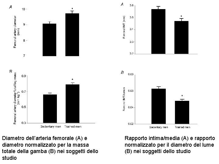 Diametro dell’arteria femorale (A) e diametro normalizzato per la massa totale della gamba (B)