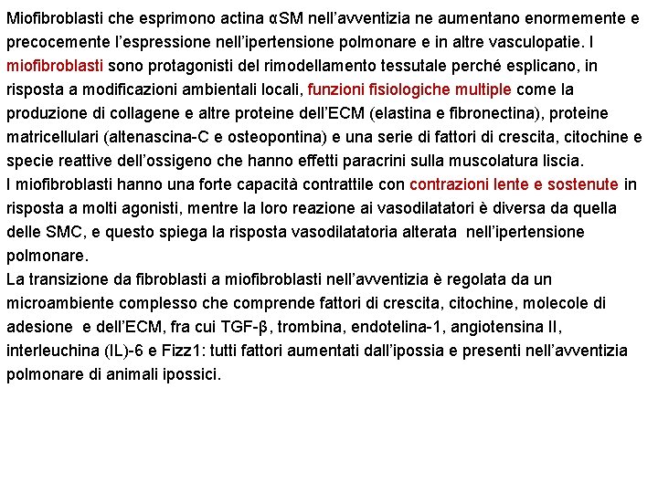 Miofibroblasti che esprimono actina αSM nell’avventizia ne aumentano enormemente e precocemente l’espressione nell’ipertensione polmonare