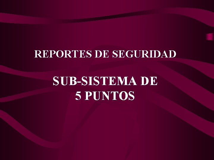 REPORTES DE SEGURIDAD SUB-SISTEMA DE 5 PUNTOS 