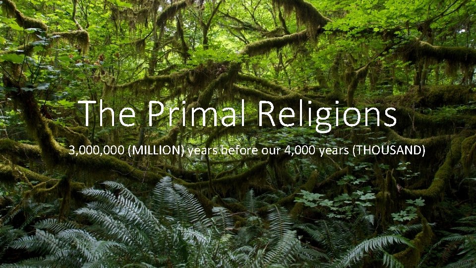 The Primal Religions 3, 000 (MILLION) years before our 4, 000 years (THOUSAND) 