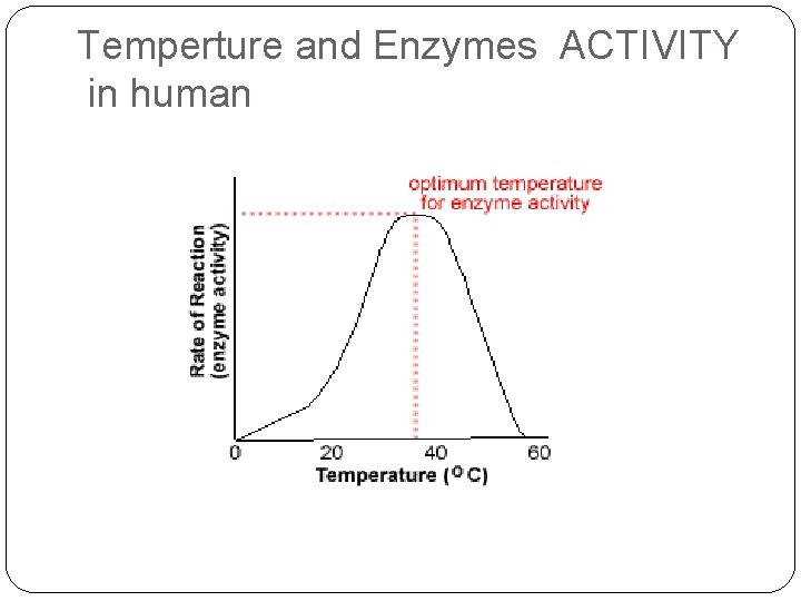 Temperture and Enzymes ACTIVITY in human 